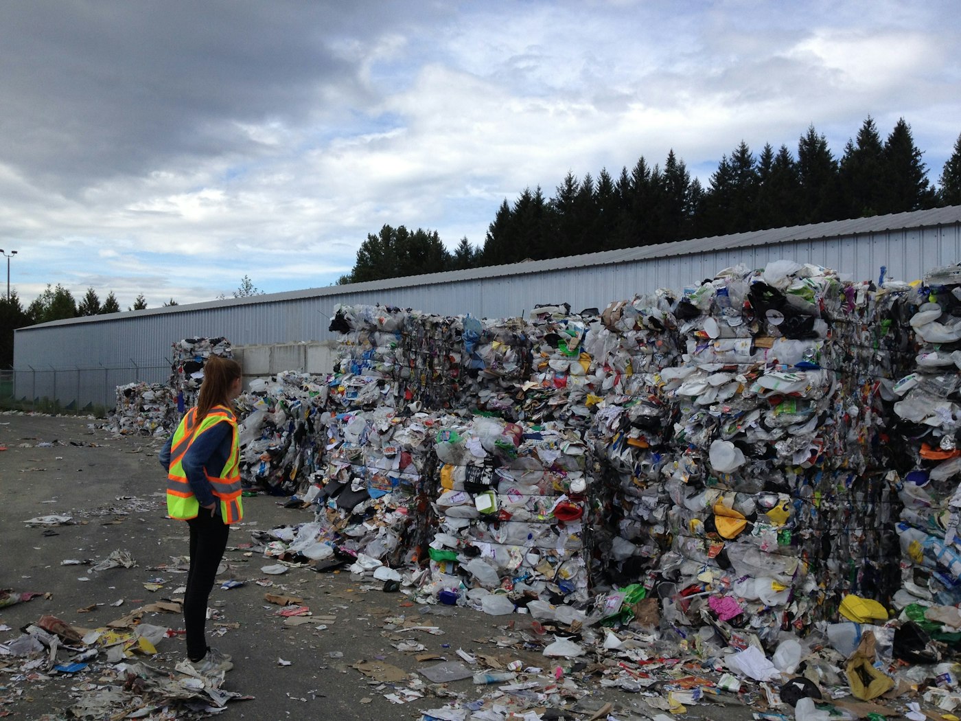 Organic waste being sorted on a segregation line