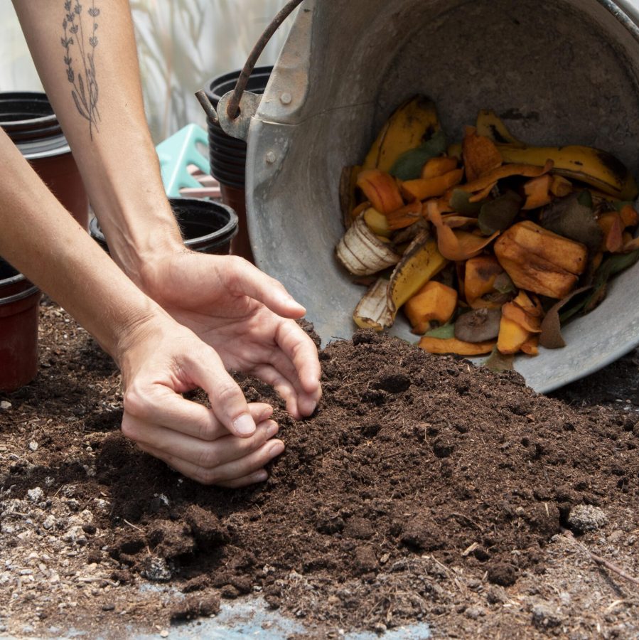 compost-still-life-concept